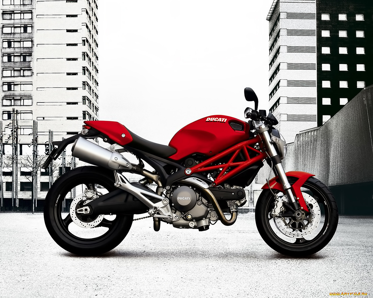 , ducati